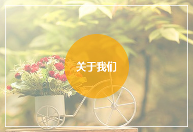 关于我们